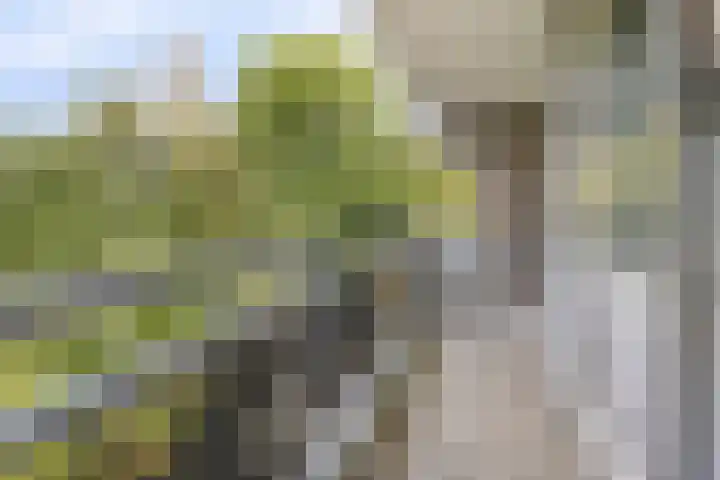 Mozartlaan 68 Breda thumbnail 25