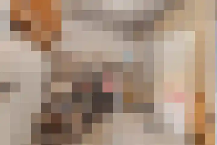 Mozartlaan 68 Breda thumbnail 36