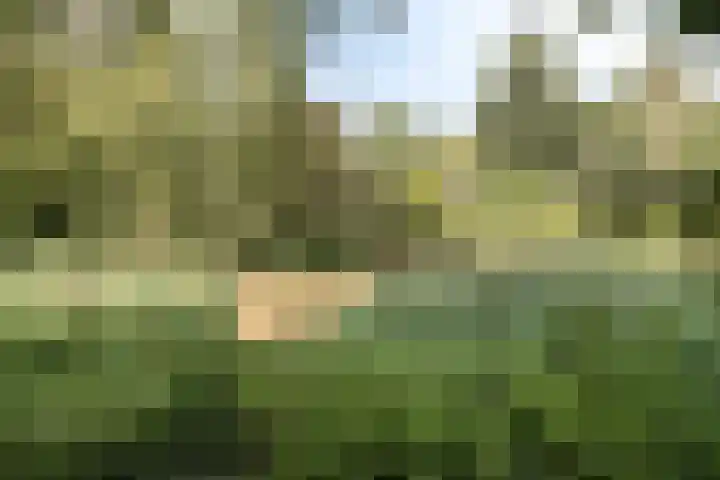 Mozartlaan 68 Breda thumbnail 37