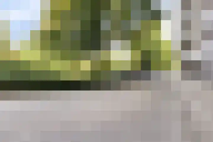 Mozartlaan 68 Breda thumbnail 38