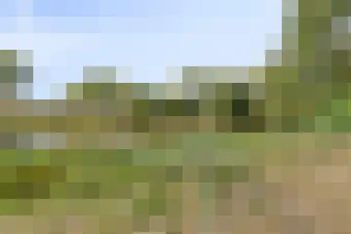 Mozartlaan 68 Breda thumbnail 40
