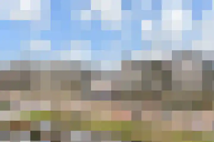 Mozartlaan 70 Den Haag thumbnail 10