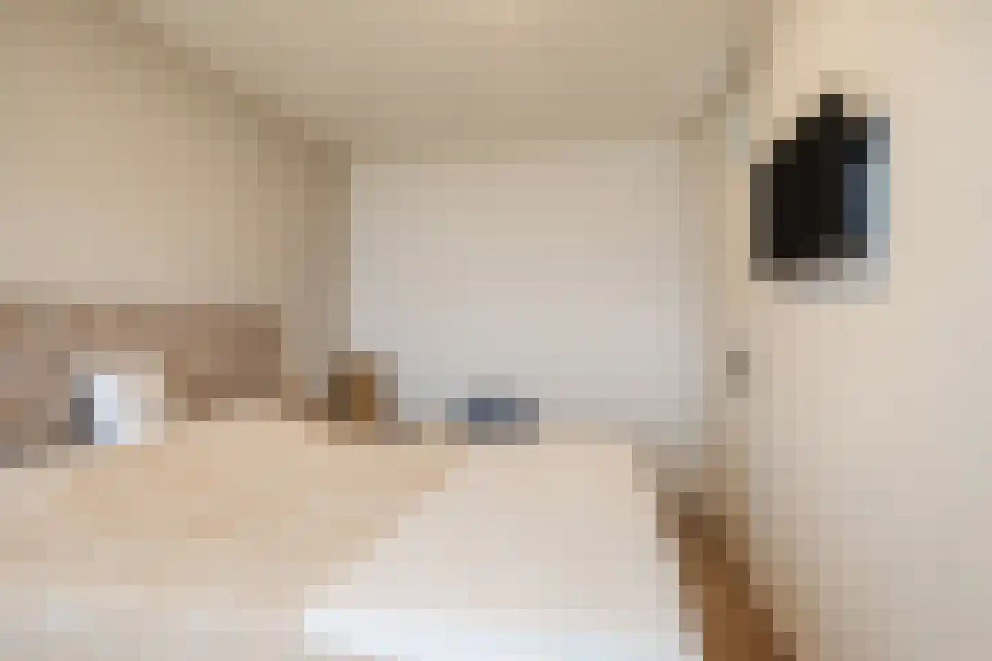 Mozartlaan 723 Tilburg thumbnail 18