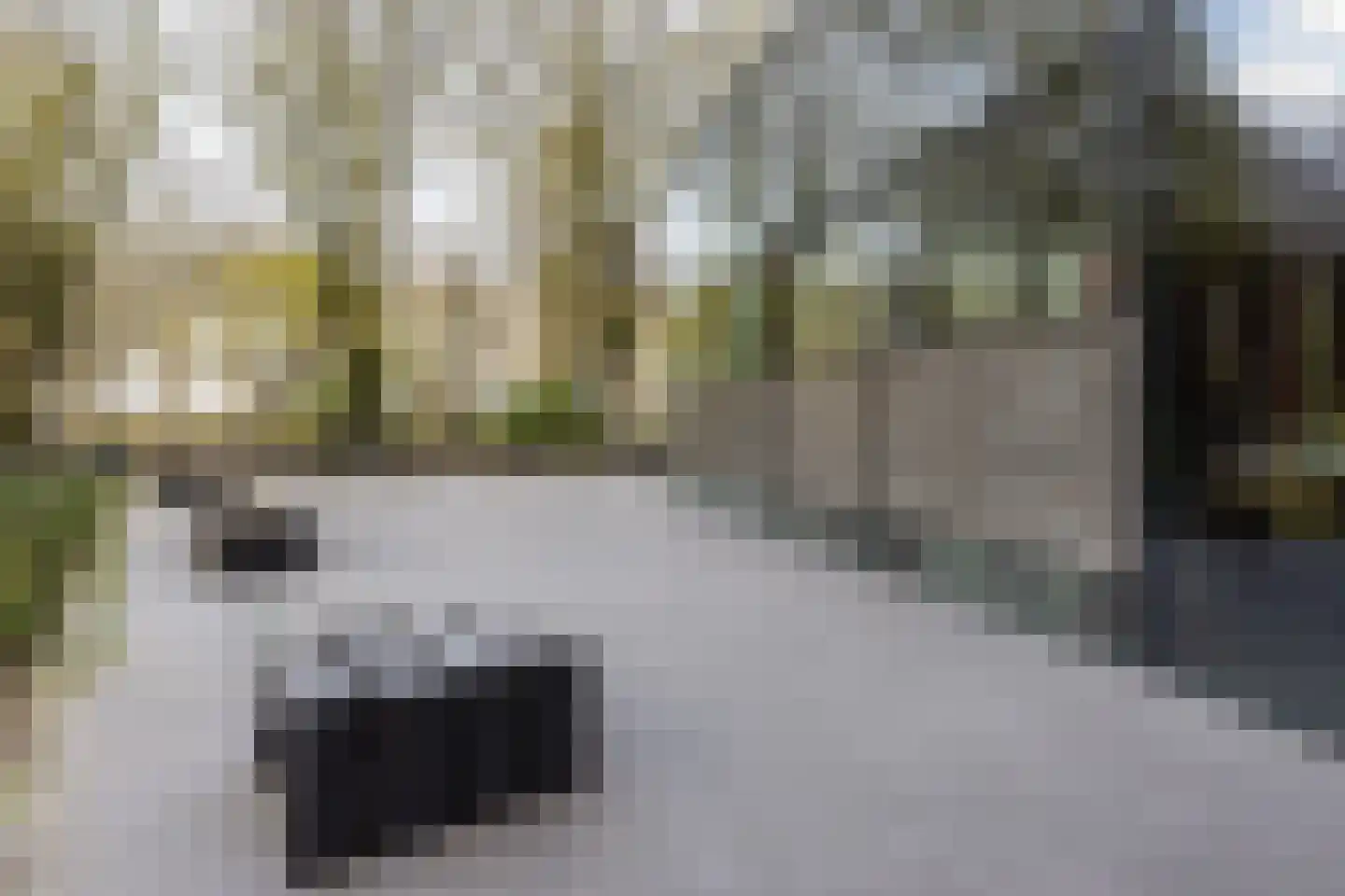 Mozartlaan 723 Tilburg thumbnail 26