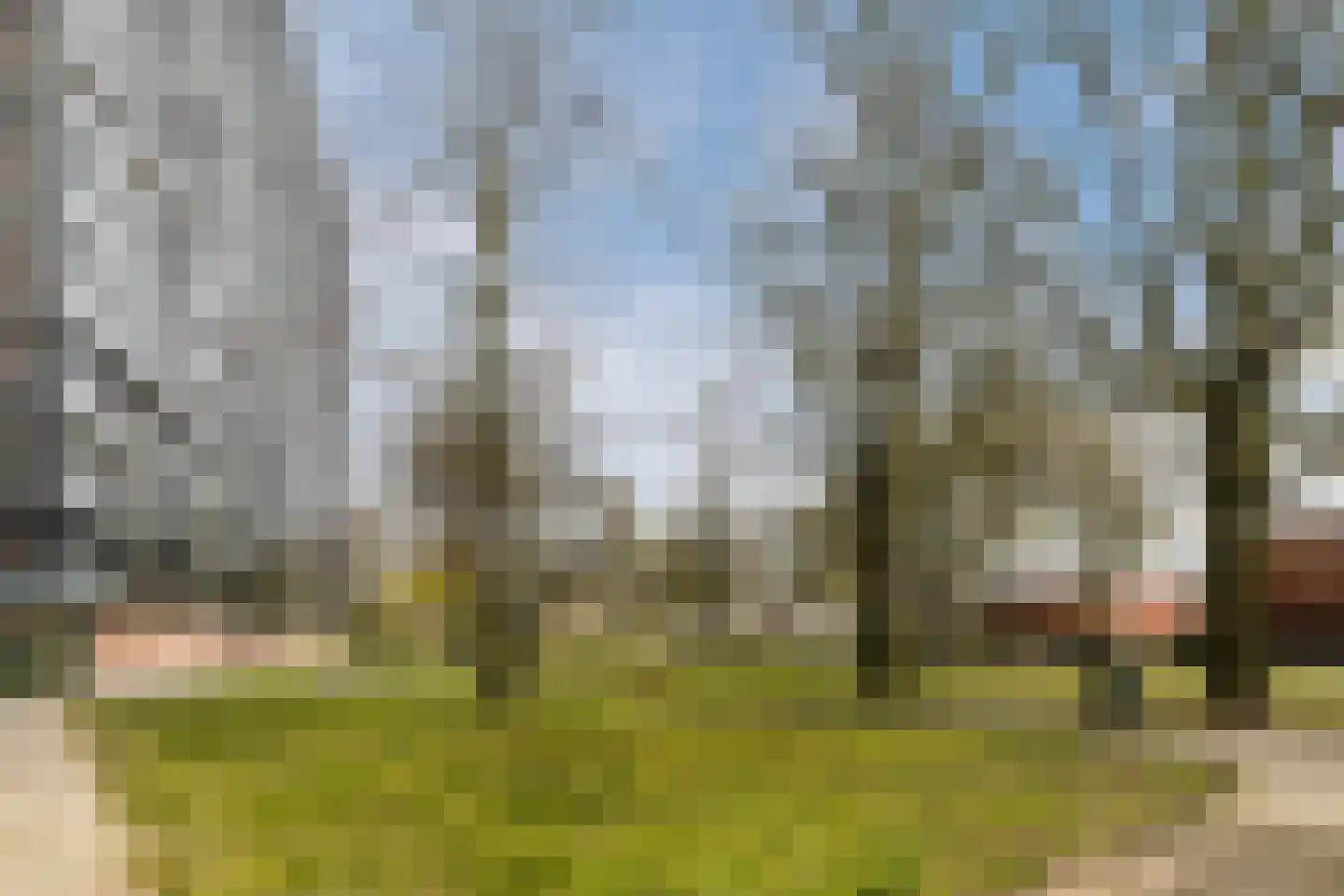 Mozartlaan 723 Tilburg thumbnail 31