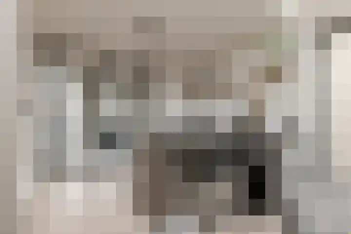 Mozartlaan 74 Zwolle thumbnail 12