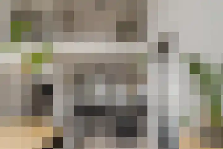 Mozartlaan 74 Zwolle thumbnail 13