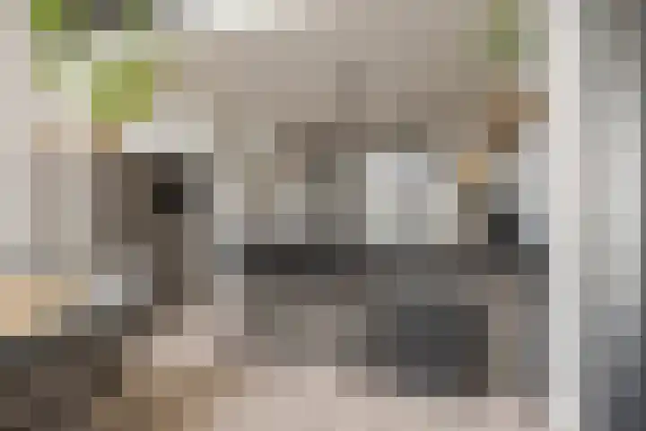 Mozartlaan 74 Zwolle thumbnail 14