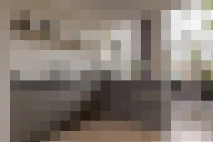 Mozartlaan 74 Zwolle thumbnail 15