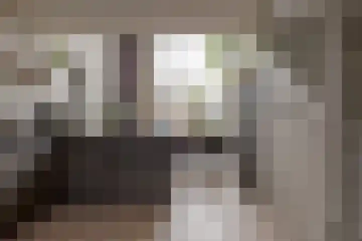 Mozartlaan 74 Zwolle thumbnail 16