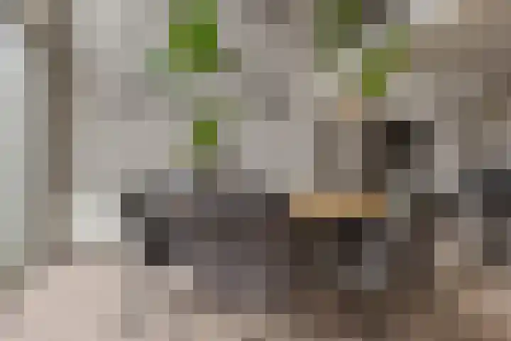 Mozartlaan 74 Zwolle thumbnail 18
