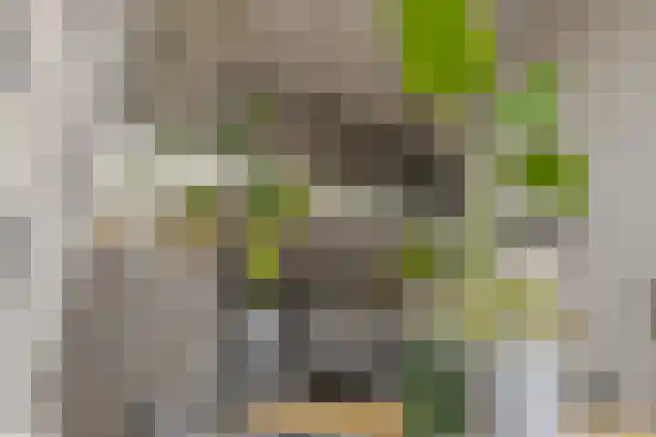 Mozartlaan 74 Zwolle thumbnail 19