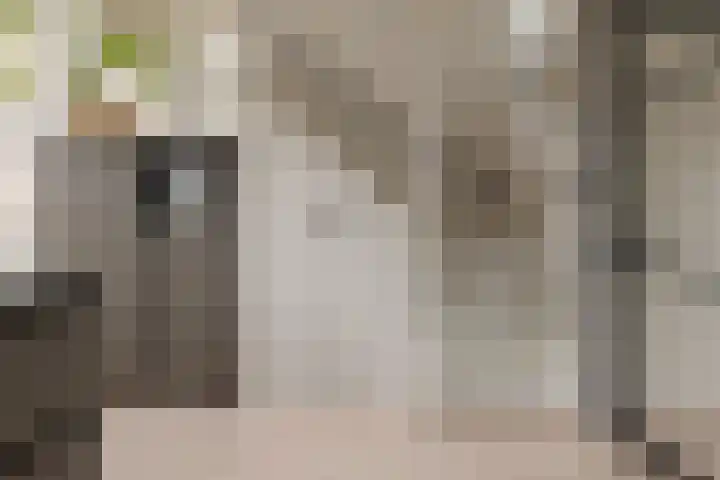 Mozartlaan 74 Zwolle thumbnail 20