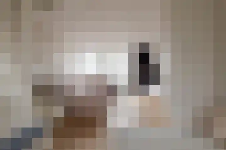 Mozartlaan 74 Zwolle thumbnail 22