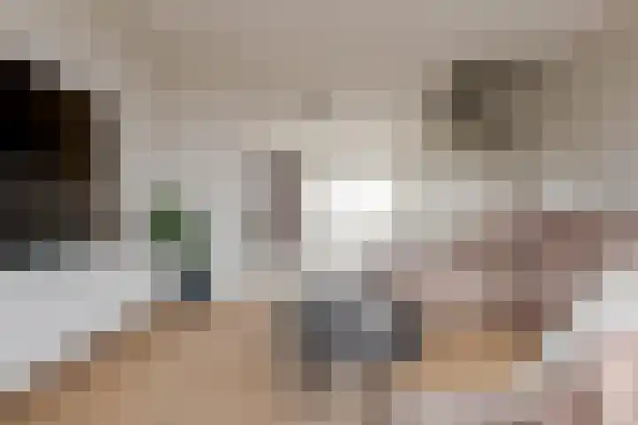 Mozartlaan 74 Zwolle thumbnail 26