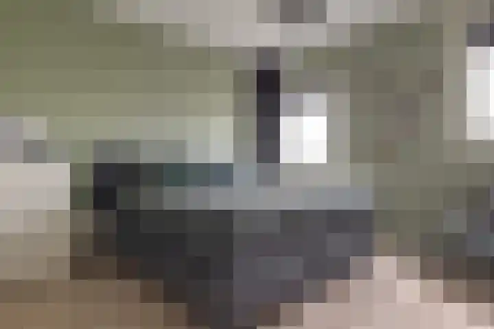 Mozartlaan 74 Zwolle thumbnail 30