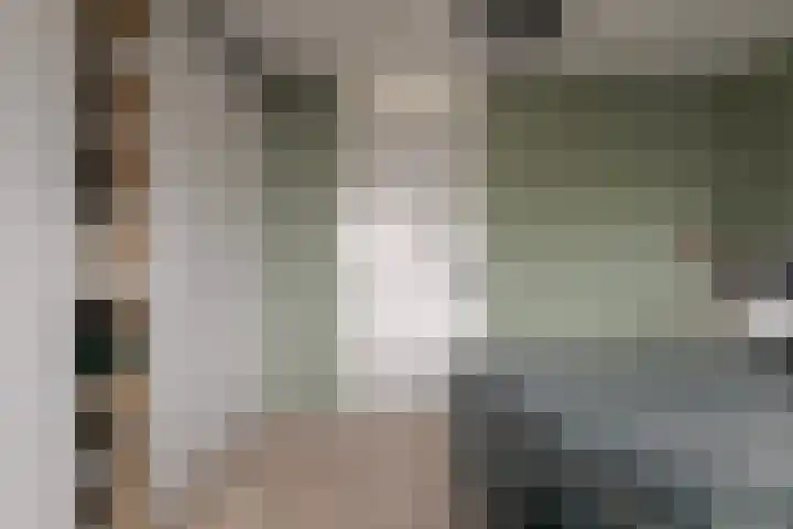 Mozartlaan 74 Zwolle thumbnail 32
