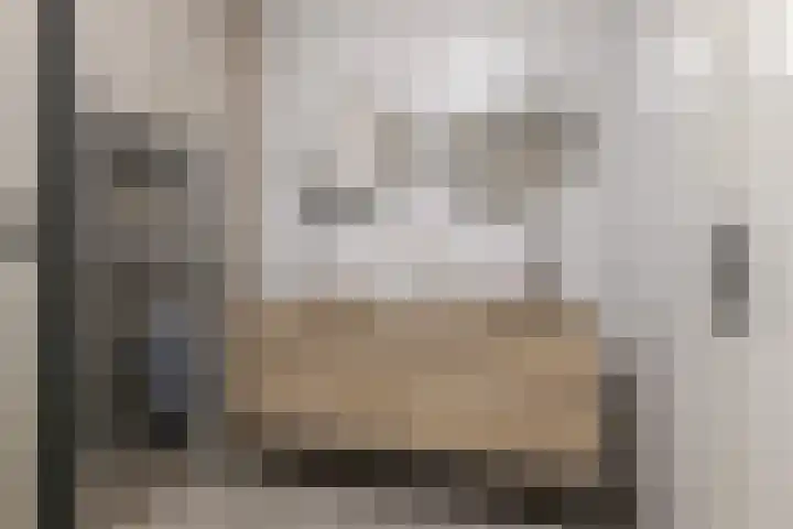 Mozartlaan 74 Zwolle thumbnail 36
