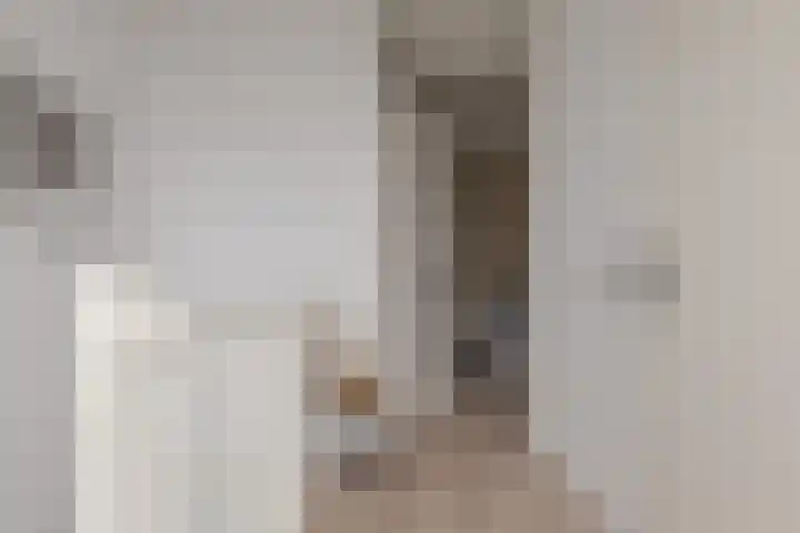 Mozartlaan 74 Zwolle thumbnail 40