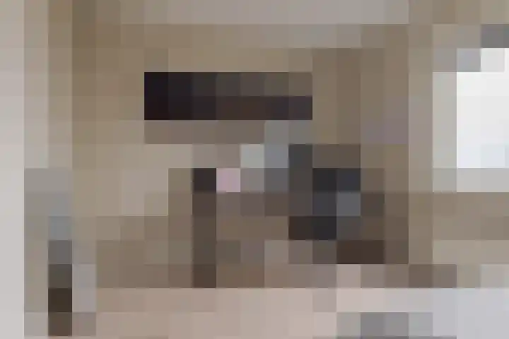 Mozartlaan 74 Zwolle thumbnail 42