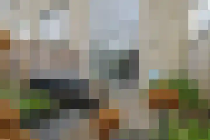 Mozartlaan 74 Zwolle thumbnail 50