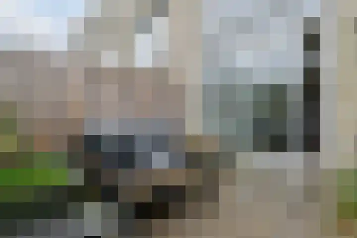 Mozartlaan 74 Zwolle thumbnail 51