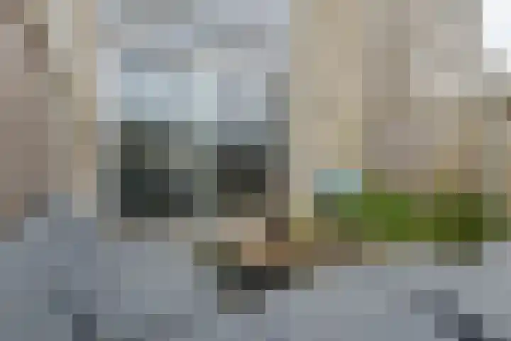 Mozartlaan 74 Zwolle thumbnail 52