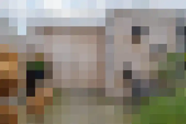 Mozartlaan 74 Zwolle thumbnail 54