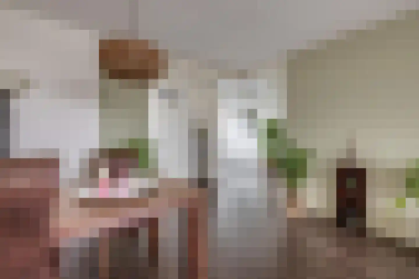 Mozartlaan 741 Tilburg thumbnail 11
