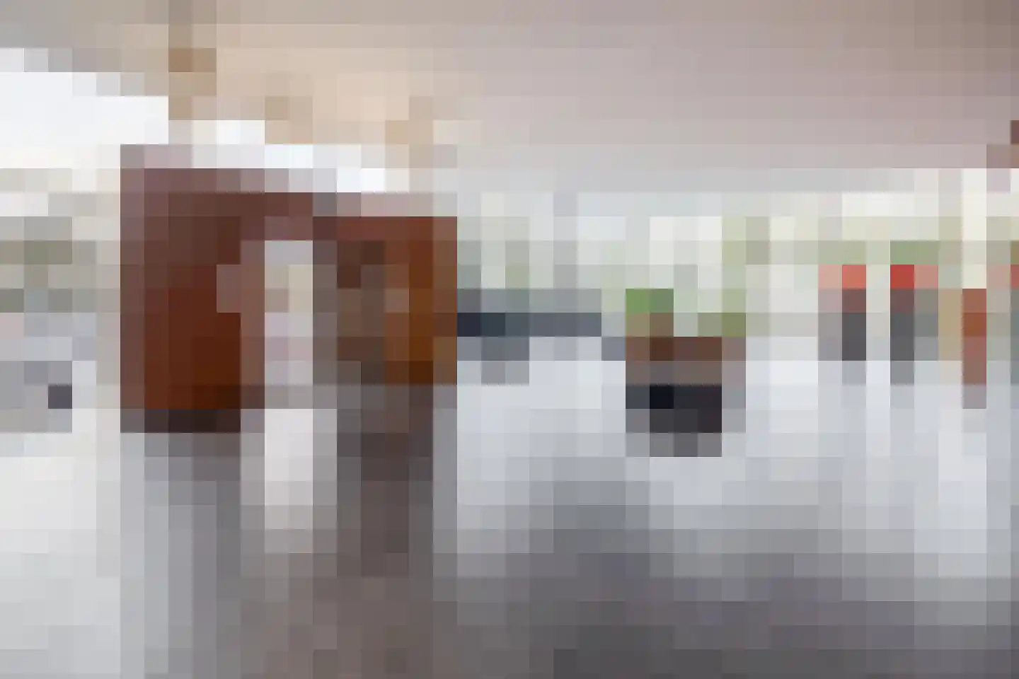 Mozartlaan 741 Tilburg thumbnail 36