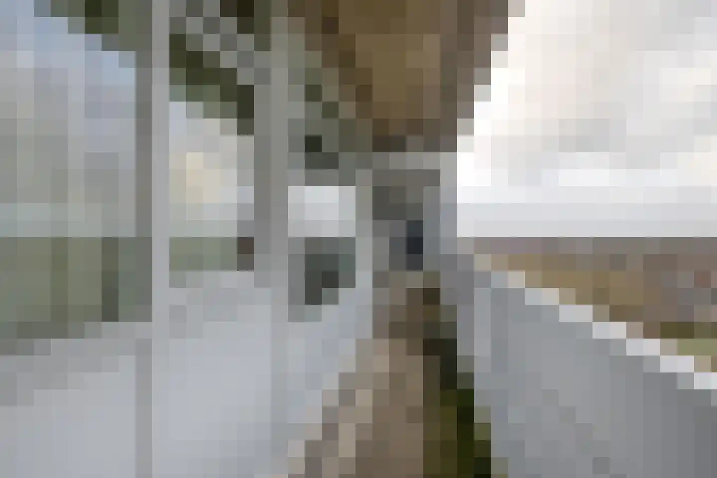 Mozartlaan 741 Tilburg thumbnail 61