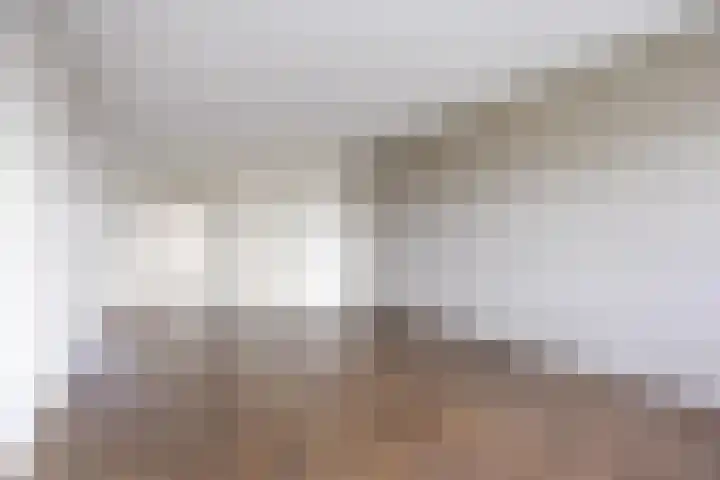 Mozartlaan 755 Tilburg thumbnail 11