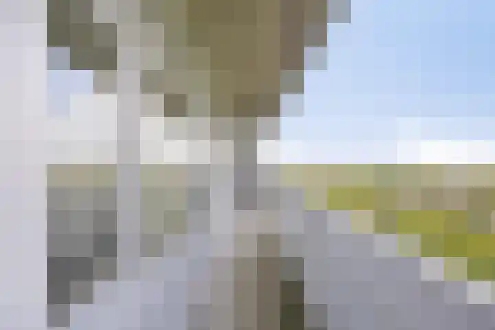 Mozartlaan 755 Tilburg thumbnail 31