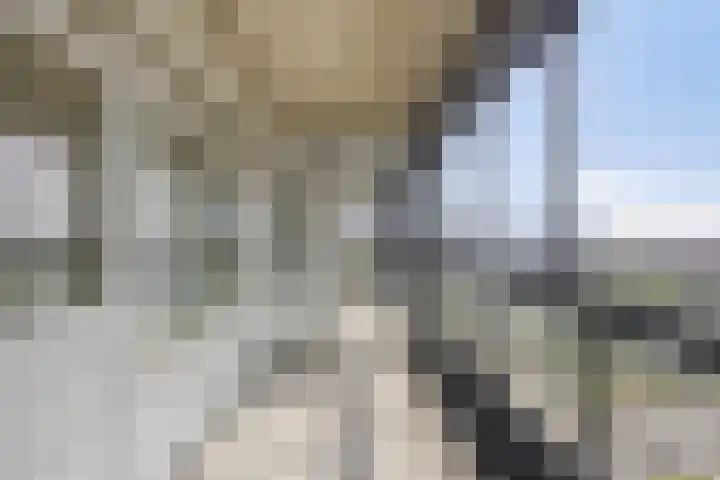 Mozartlaan 755 Tilburg thumbnail 32