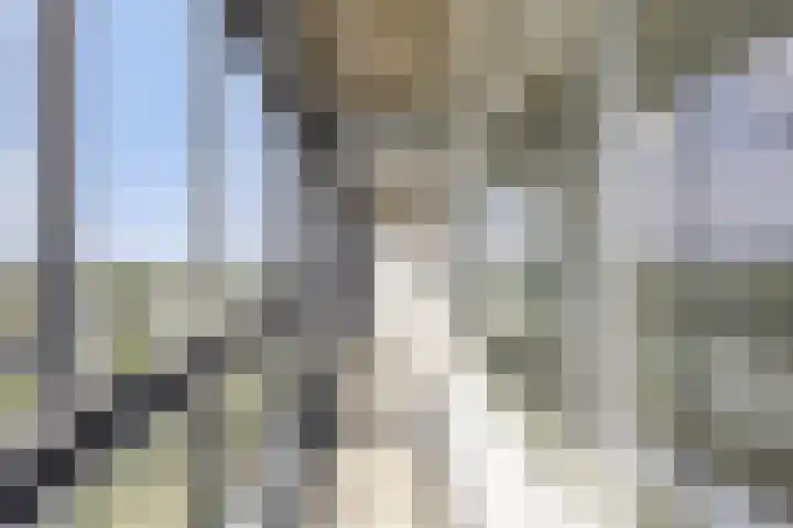 Mozartlaan 755 Tilburg thumbnail 33