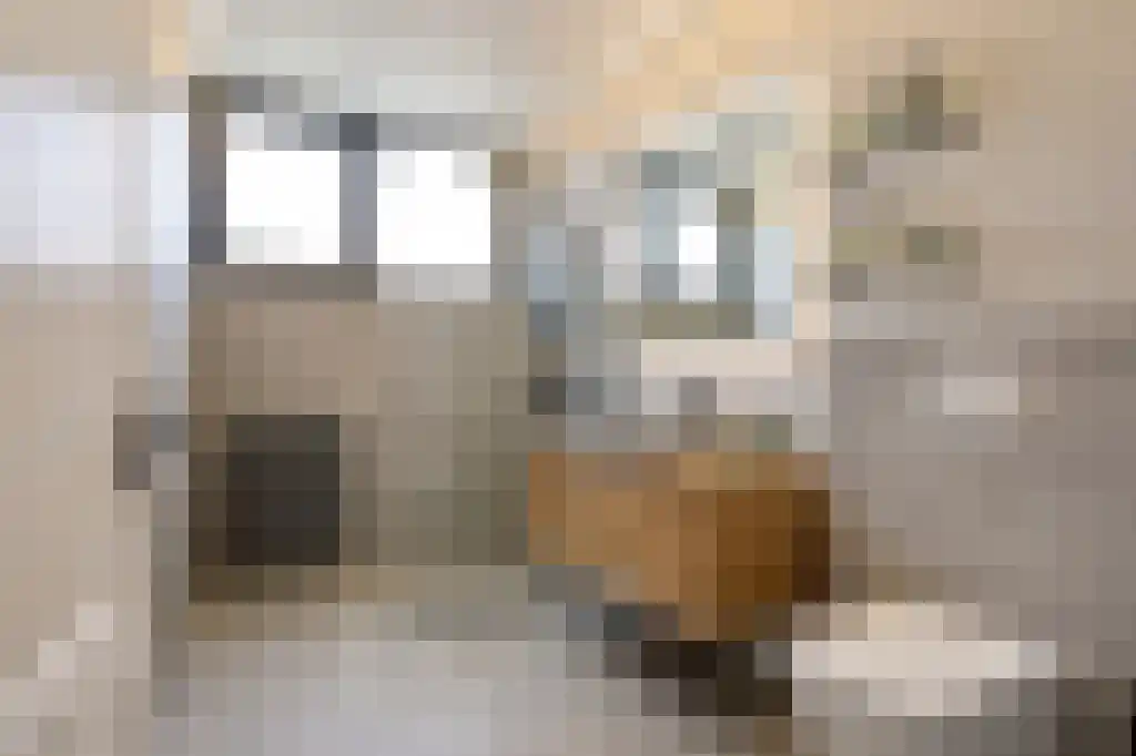 Mozartlaan 797 Tilburg thumbnail 28