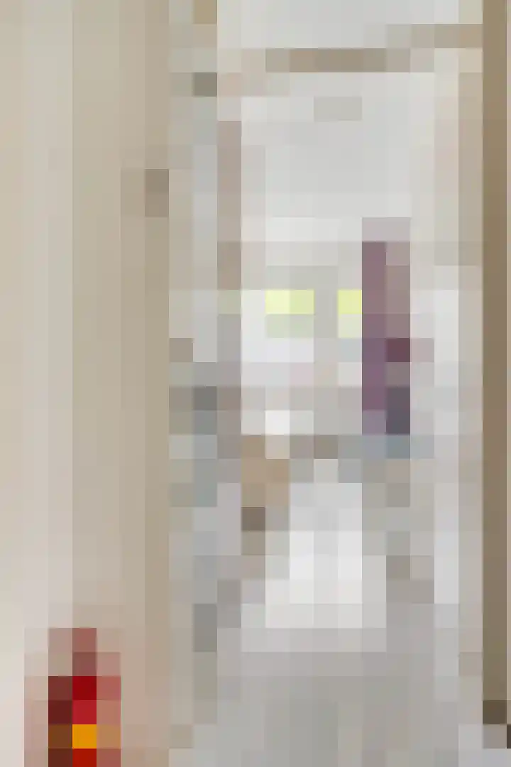 Mozartlaan 8 Goes thumbnail 13