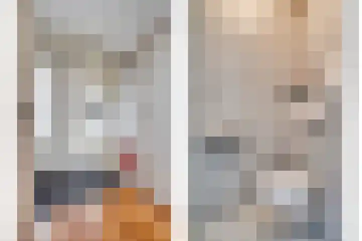 Mozartlaan 8 Goes thumbnail 20