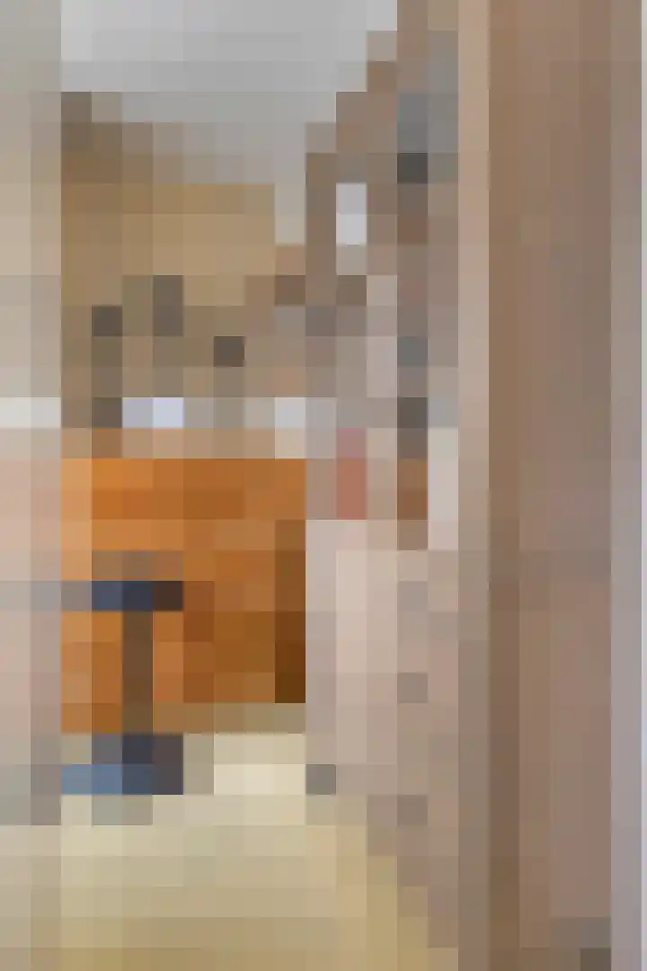 Mozartlaan 8 Goes thumbnail 25