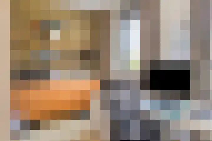 Mozartlaan 8 Goes thumbnail 27