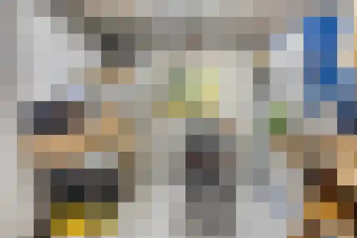 Mozartlaan 8 Goes thumbnail 30