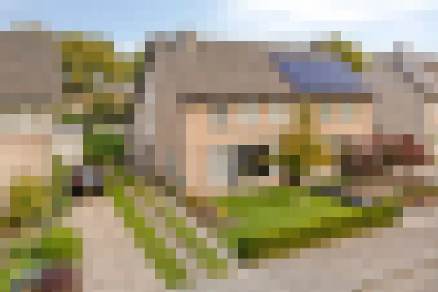 Mozartlaan 8 Helmond thumbnail 13