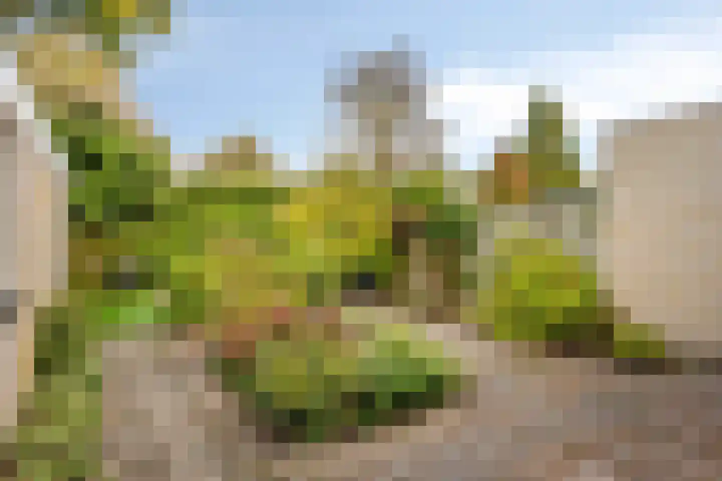 Mozartlaan 8 Helmond thumbnail 44