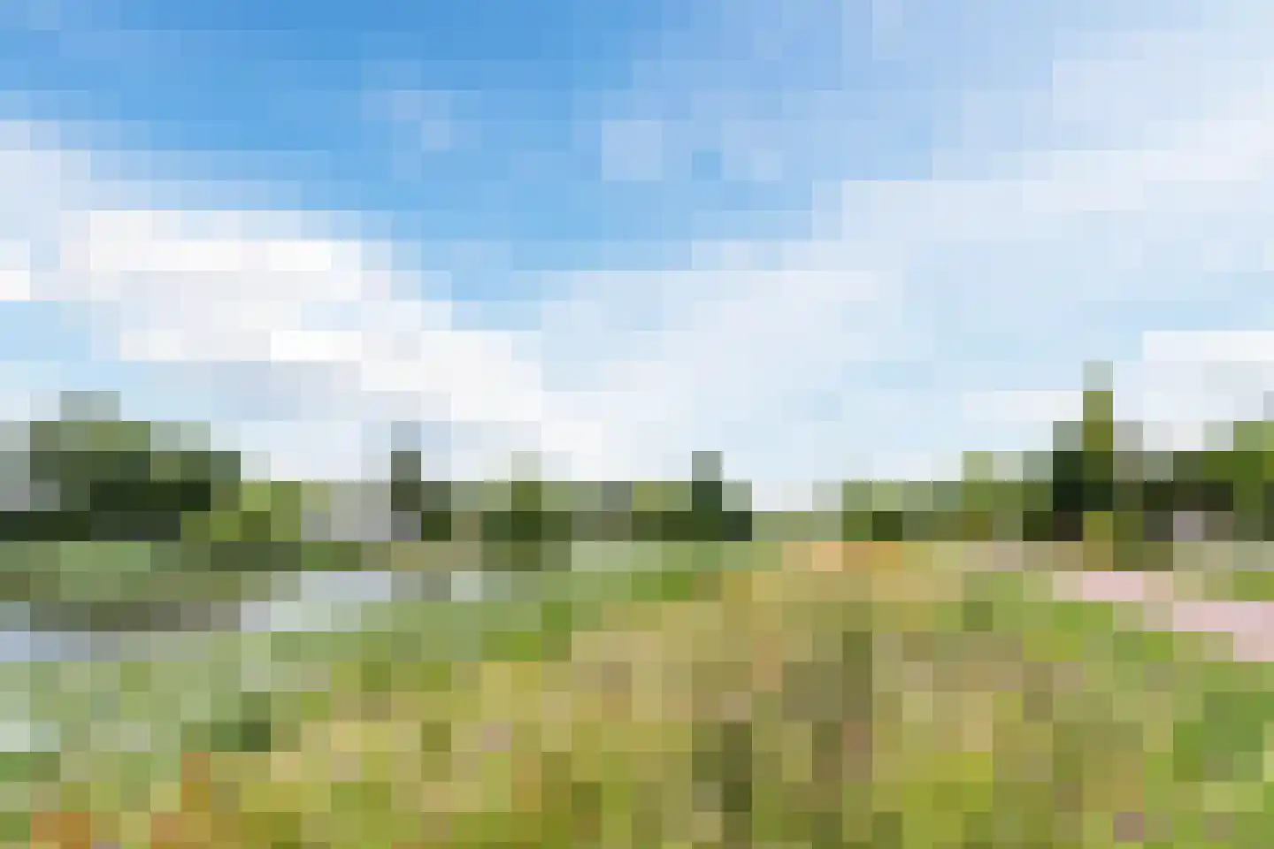 Mozartlaan 8 Zwijndrecht thumbnail 59