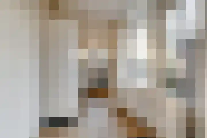 Mozartlaan 85 Waddinxveen thumbnail 15