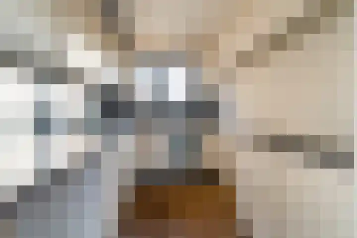 Mozartlaan 85 Waddinxveen thumbnail 16