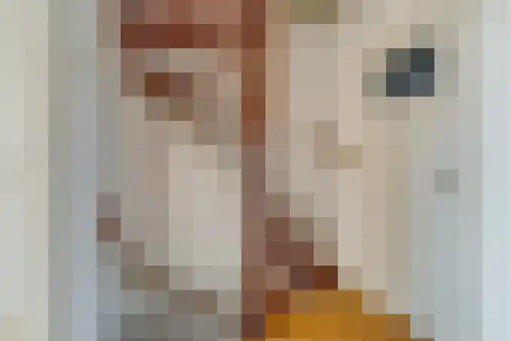 Mozartlaan 85 Waddinxveen thumbnail 21