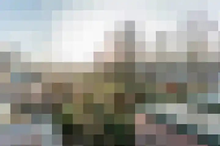 Mozartlaan 85 Waddinxveen thumbnail 25