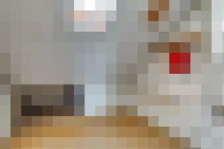 Mozartlaan 85 Waddinxveen thumbnail 37
