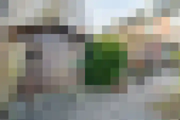 Mozartlaan 85 Waddinxveen thumbnail 41